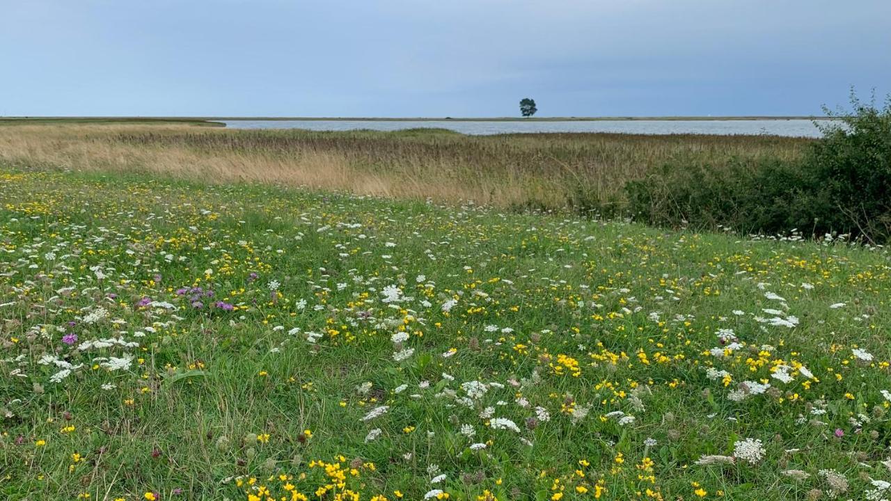Noorhus - Kurzurlaub An Der Ostsee Maasholm Exterior foto